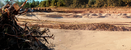 10-23-05+DRC+Burn+Pit_11.jpg